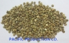 VIETNAM COFFEE BEAN